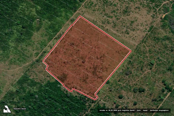 Imagem de satélite de Infração da Flora em Altamira - PA