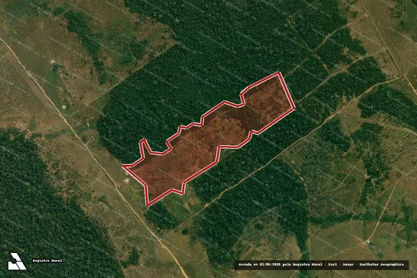 Imagem de satélite de Infração da Flora em Lábrea - AM