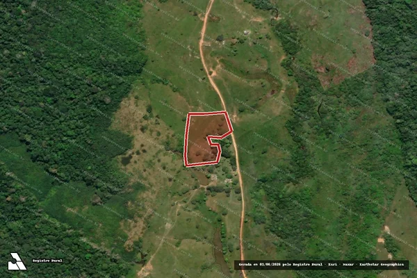 Imagem de satélite — Embargo IBAMA — Infração Ambiental — Eirunepé/AM