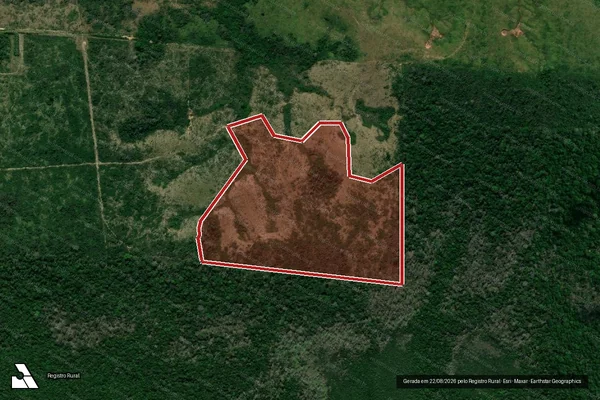 Imagem de satélite de Infração Ambiental em Apuí - AM