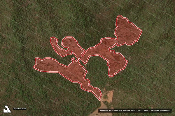 Imagem de satélite de Infração da Flora em Damianópolis - GO