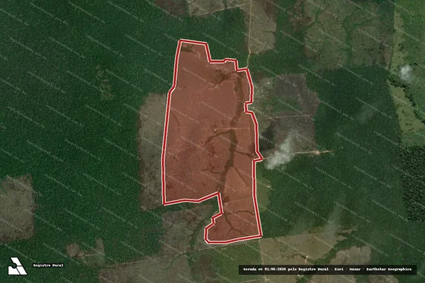 Imagem de satélite de Infração da Flora em Boca do Acre - AM