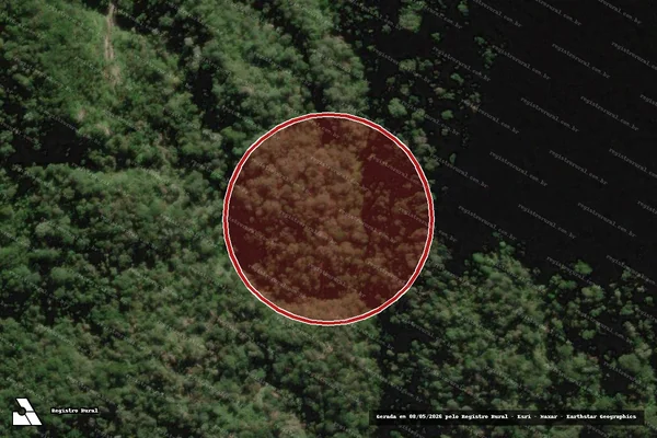 Imagem de satélite de Infração Ambiental em Urubici - SC