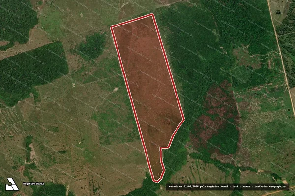 Imagem de satélite de Infração Ambiental em Lábrea - AM