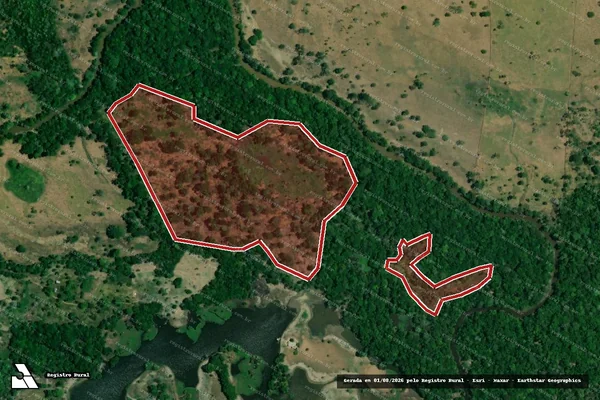 Imagem de satélite de Infração da Flora em Careiro da Várzea - AM
