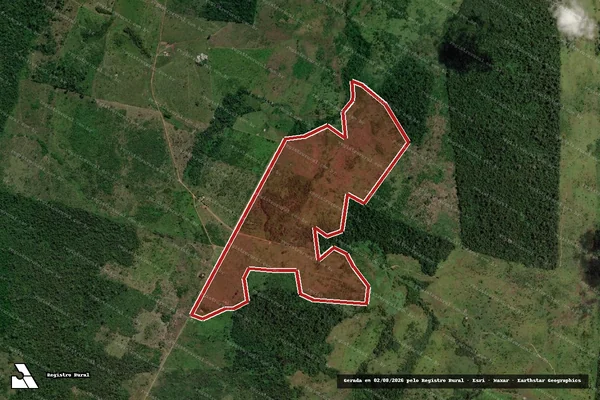 Imagem de satélite de Infração da Flora em São Félix do Xingu - PA