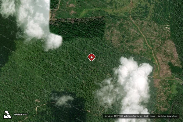 Imagem de satélite de Infração da Flora em Rorainópolis - RR (marcador da localização)
