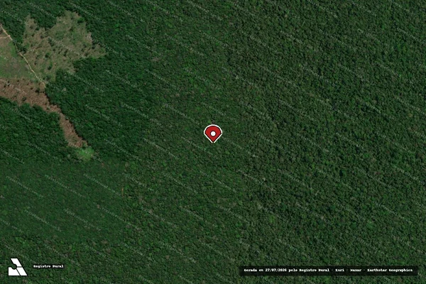 Imagem de satélite de Infração Ambiental em Apuí - AM (marcador da localização)
