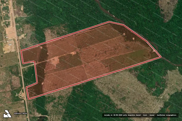 Imagem de satélite de Infração da Flora em Novo Progresso - PA