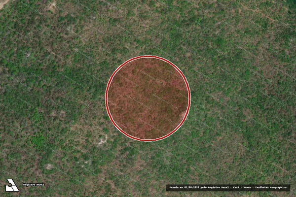 Imagem de satélite de Infração Ambiental em Canindé de São Francisco - SE