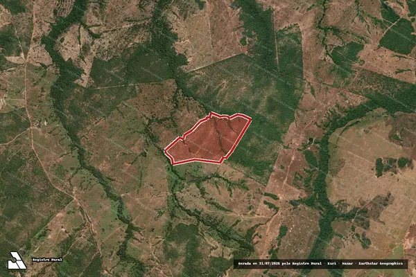 Imagem de satélite de Infração da Flora em Porangatu - GO
