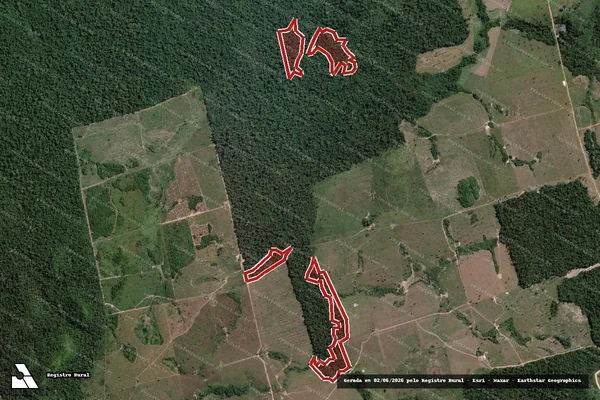 Imagem de satélite de Infração da Flora em Novo Progresso - PA