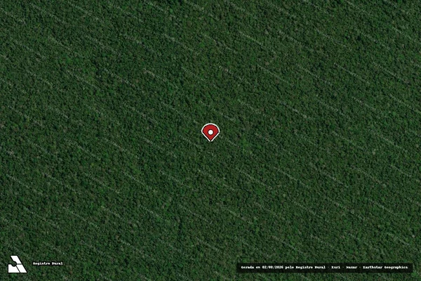 Imagem de satélite de Infração Ambiental em Apuí - AM (marcador da localização)