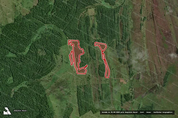Imagem de satélite de Infração da Flora em Canavieiras - BA