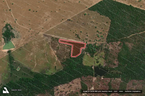 Imagem de satélite — Embargo IBAMA — Infração da Flora — Silvanópolis/TO