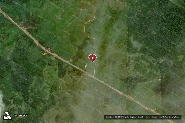 Imagem de satélite de Infração Ambiental em Pacajá - PA (marcador da localização)