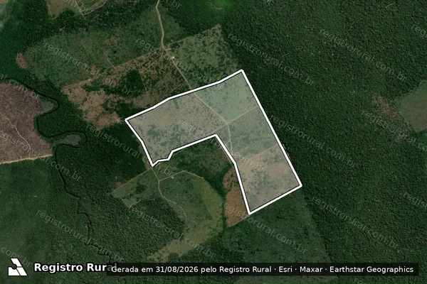 Imagem de satélite de Infração Ambiental em Novo Aripuanã - AM