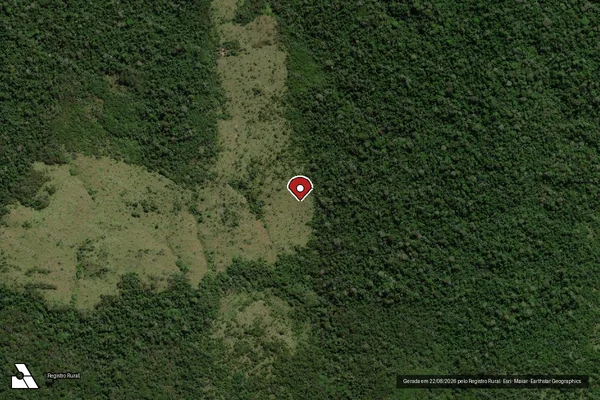 Imagem de satélite de Infração Ambiental em Colniza - MT (marcador da localização)