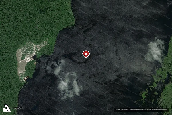 Imagem de satélite de Infração da Flora em Barreirinha - AM (marcador da localização)