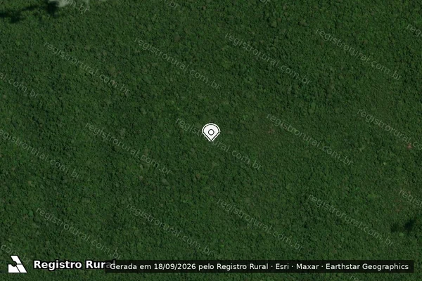 Imagem de satélite — Embargo IBAMA — Infração da Flora - Portel/PA