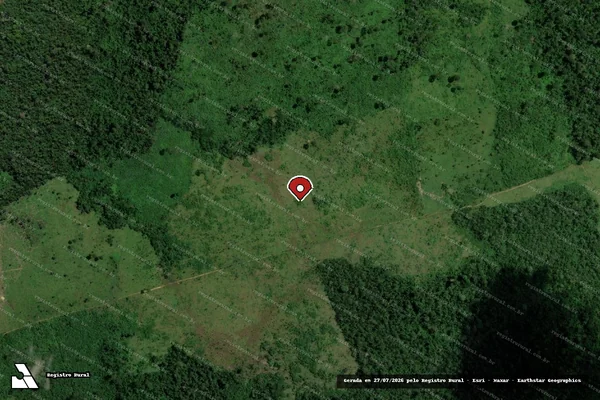 Imagem de satélite de Infração Ambiental em São Félix do Xingu - PA (marcador da localização)