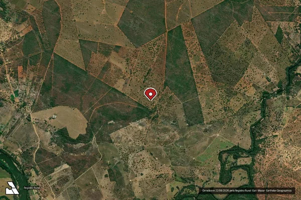 Imagem de satélite de Infração da Flora em Lassance - MG (marcador da localização)