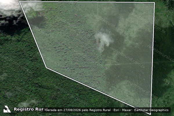 Imagem de satélite de Infração da Flora em São Félix do Xingu - PA