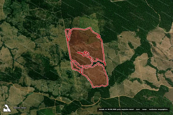 Imagem de satélite de Infração da Flora em Nova Monte Verde - MT
