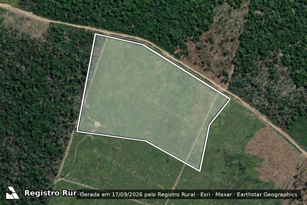 Imagem de satélite — Embargo IBAMA — Infração Ambiental - Goianésia do Pará/PA