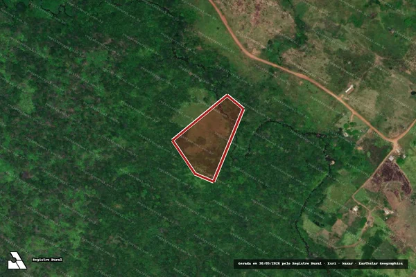 Imagem de satélite de Infração Ambiental em Alto Alegre - RR