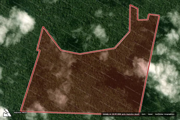Imagem de satélite de Infração da Flora em Portel - PA