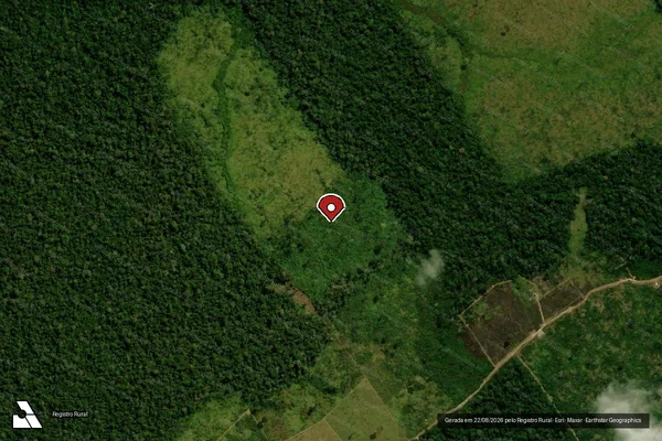 Imagem de satélite de Infração da Flora em Boca do Acre - AM (marcador da localização)