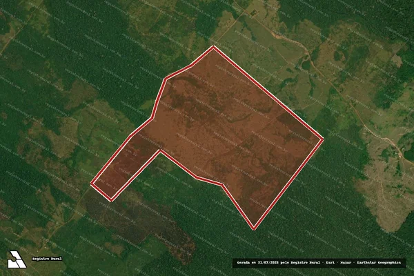 Imagem de satélite de Infração Ambiental em Apuí - AM