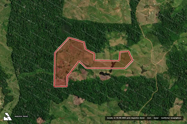 Imagem de satélite de Desmatamento em Tarauacá - AC