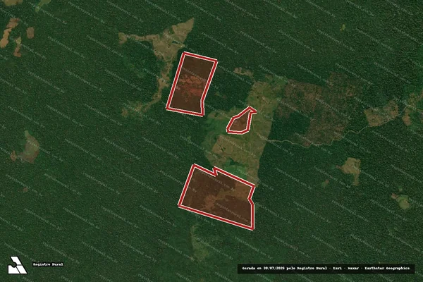 Imagem de satélite de Infração da Flora em Feijó - AC
