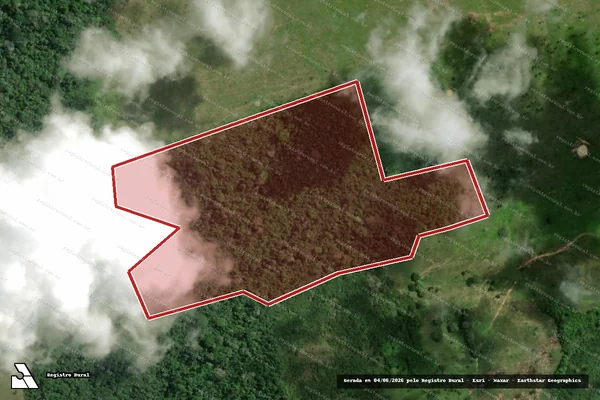 Imagem de satélite — Embargo IBAMA — Infração da Flora — Brasil Novo/PA