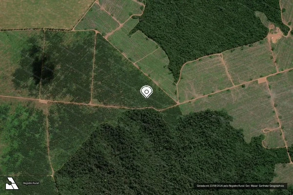 Imagem de satélite de Infração Ambiental em Dom Eliseu - PA (marcador da localização)