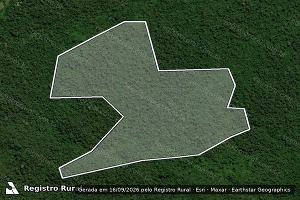 Imagem de satélite — Embargo IBAMA — Infração da Flora - São Félix do Xingu/PA