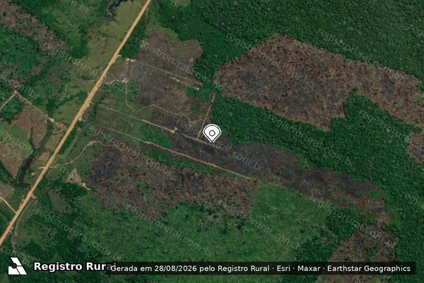 Imagem de satélite de Infração da Flora em Humaitá - AM (marcador da localização)