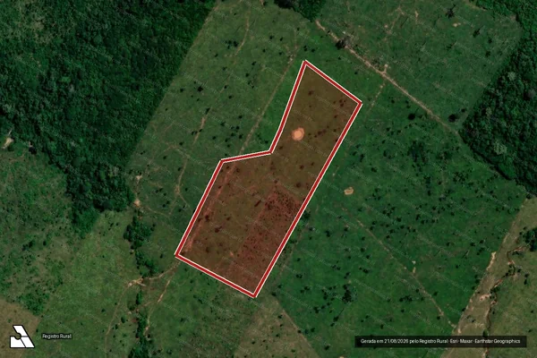 Imagem de satélite de Infração da Flora em Porto Velho - RO