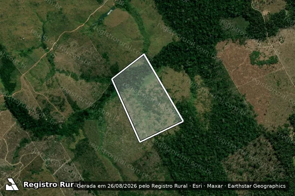 Imagem de satélite de Infração Ambiental em Aripuanã - MT