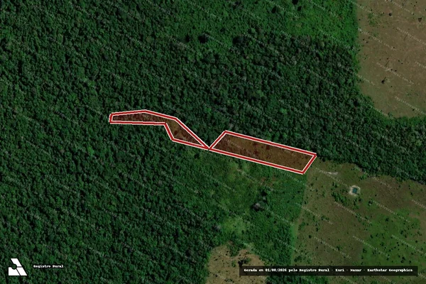 Imagem de satélite de Infração Ambiental em Seringueiras - RO