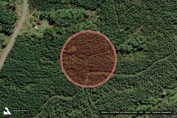 Imagem de satélite de Infração Ambiental em São Francisco do Sul - SC