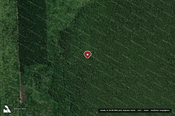Imagem de satélite de Infração Ambiental em Canutama - AM (marcador da localização)