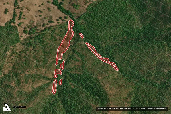 Imagem de satélite de Infração Ambiental em Formoso - GO