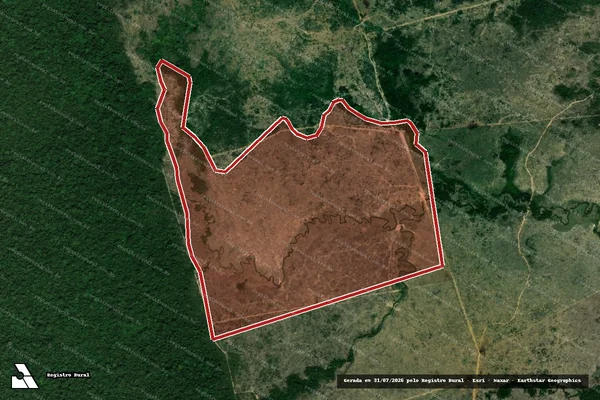 Imagem de satélite de Infração da Flora em Novo Progresso - PA