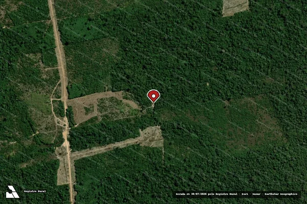 Imagem de satélite de Infração da Flora em Paranaíta - MT (marcador da localização)