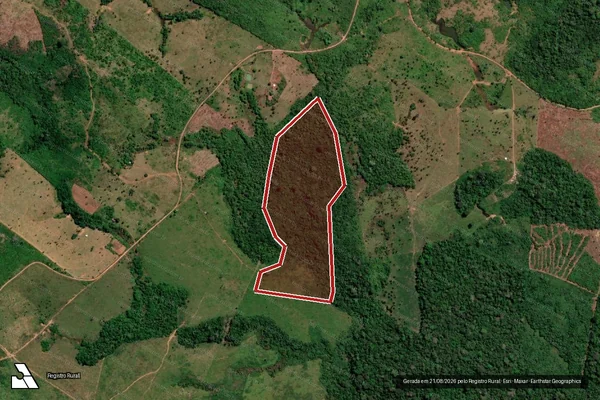 Imagem de satélite de Infração da Flora em Apuí - AM