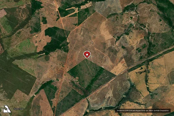 Imagem de satélite de Infração Ambiental em Palmas - TO (marcador da localização)