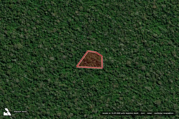Imagem de satélite de Infração da Flora em Feijó - AC